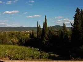 Apt Alice - Apartment in the Vineyards