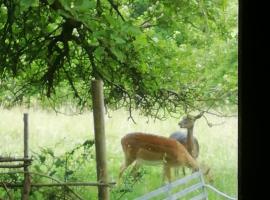 Wyre Forest Cottage, alojamento para férias em Bewdley