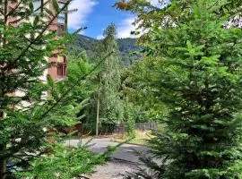 Sinaia Relax Residence
