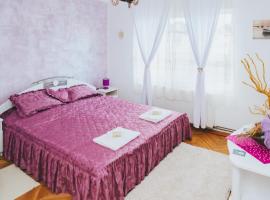 Casa Vinco Vici, homestay in Turda