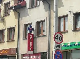 APARTAMENT W CENTRUM OLESNA