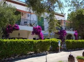 Tenuta Belvedere