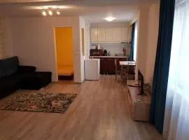 Apartament 1 Central