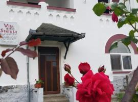 Vila Ana Lăcrămioara Concept – pensjonat w mieście Caciulata