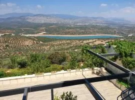 בית אום ג'מאל - משפחת דגש