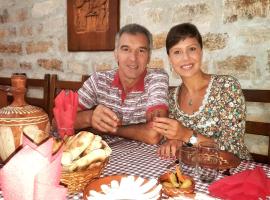 Vila Milenovic Rajacke Pivnice, hotel v destinaci Rajac