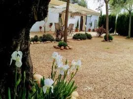 La Casa del Abuelo Jose