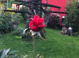Zur Alten Filmkiste