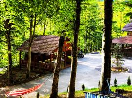 Pensiunea Valea Gepisului, cheap hotel in Groşi