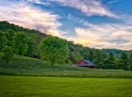 Mountain Springs Cabins