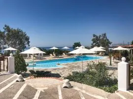 Pleiades Samos
