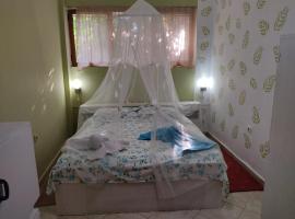 Private Apartment Elbasan Historic Center