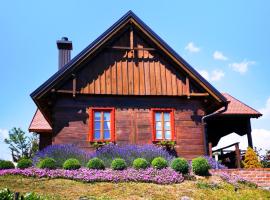 Kuća za odmor Stara hiža, vacation home in Selnica