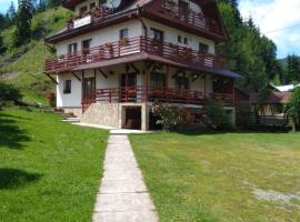 Pensiunea Roua Diminetilor, holiday rental in Ruşca