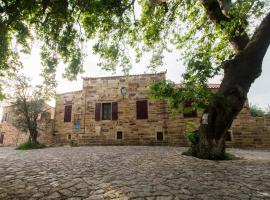 Archontiko Riziko, hotel v destinaci Kambos