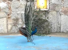 Rasino selo - Rashaville, hotel v destinaci Rudovci