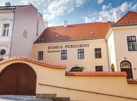Domus Peregrini Apartmanok, departamento en Győr