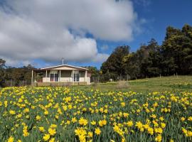 Mountain Blue Guest House, hotell sihtkohas Deloraine