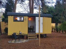 Forest Heath Shepherd's Hut, hotel near Moors Valley Country Park and Forest, Ringwood