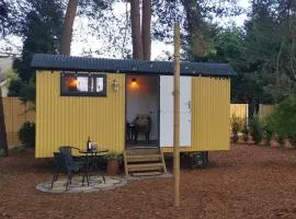 Forest Heath Shepherd's Huts