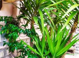 B&B La Peschiera