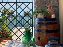 B&B Villa Reginella