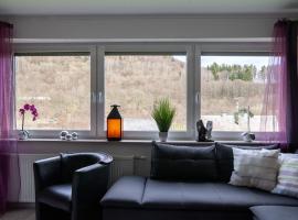 Apartment in Willingen near the ski area, vacation rental in Stryck