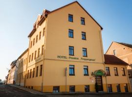 Hotel Pension Treppengasse Nr. 5, hotel near Schloss- und Spielkartenmuseum, Altenburg