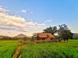 Wanmai Farm Stay Muangkong วันใหม่ฟาร์มสเตย์ เมืองคอง เชียงดาว