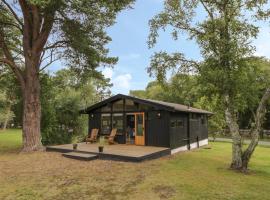 Blue Pine Lodge, holiday home in Dornoch
