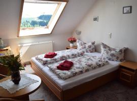 Hotel Carola, hotel u gradu Schönheide