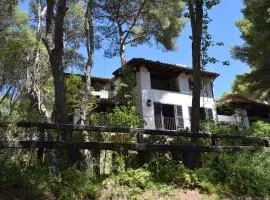 L'Àncora de Barà