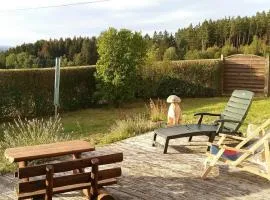 Ferienwohnung Steinwald Ausläufer mit Blick auf Kösseine
