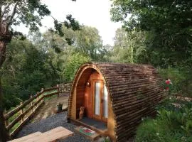 Owl Hut Cosy Ensuite Pod Snowdonia Coast Sleeps 2