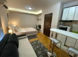 4 hotel in Kragujevac 4 hotel in Kragujevac