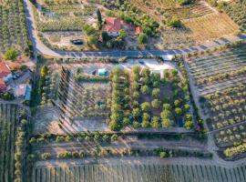 AGRiCAMPiNG POGGiO Ai PiNi WiNE CAMPiNG, camping em Certaldo