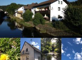 Ferienhaus 1 An der Rodach, apartment in Steinwiesen