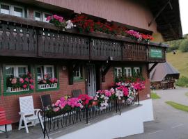 Schwarzwaldhaus Kathi, hotel perto de Herrenschwand Ski Lift, Todtmoos