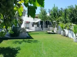 VILLA DINA (Kalidonia, Chania, Crete 730 06)