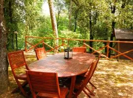 Monte Malbe Charming Villa with Garden and Parking