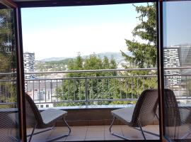 Beautiful View Of Sarajevo Center