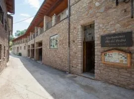 Apartaments Castellar de n'Hug