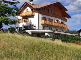 Agritur Rizzi di Inama Ugo