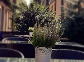 Ośrodek Wypoczynkowy W sosnowym lesie，位于米泽德沃兹的度假村