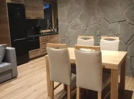 APARTAMENT TRAGANEK