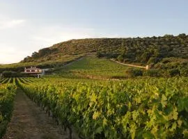 Casa nel vigneto con vista mare