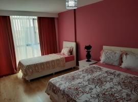 Samlife Apart, hotell sihtkohas Samsun