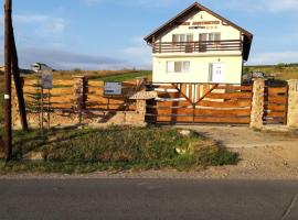 Pensiunea agroturistica Casa Sirca, bed and breakfast en Boghiş