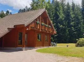 Chalet 3ch 6-8p à Gérardmer I TOP SITUATION, confort,calme, jardin,wifi