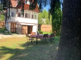 Cabana Munte la Izvoru Muresului